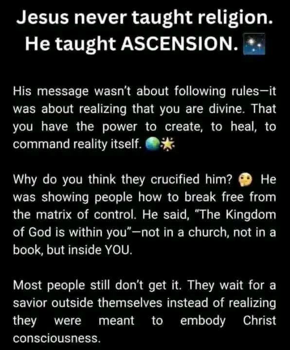 505Cali2's tweet photo. The truth is no one is coming to save you, you are your own savior 💙 https://t.co/y0fbWvJpwn
