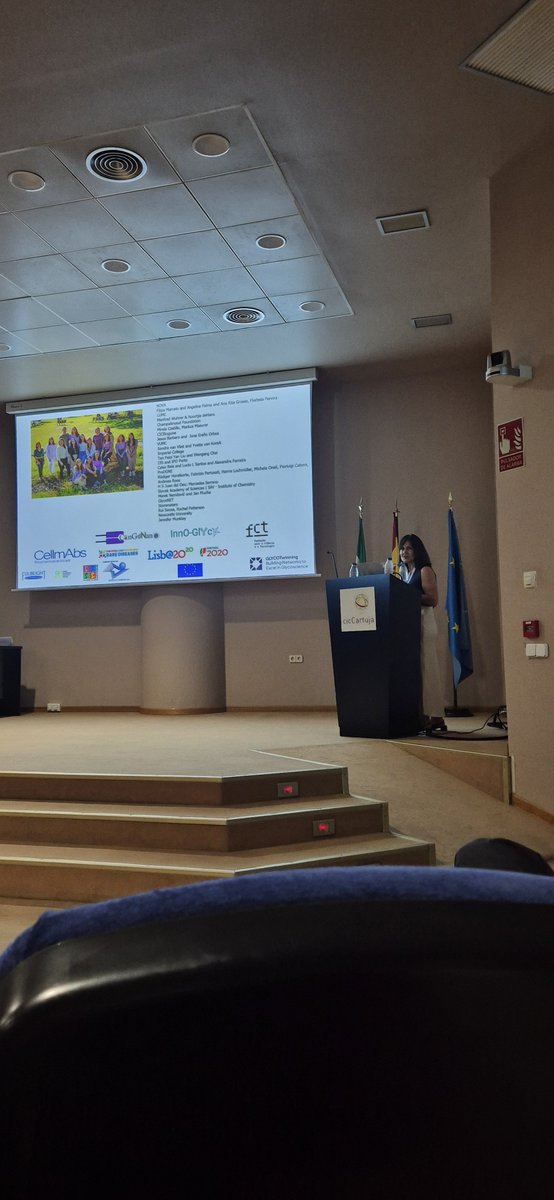 gehic_rseq's tweet photo. Great and Sweet scientific discussions these days at the bianual meeting of our community. XIV Jornadas Carbohidratos in Sevilla. Carbohydrates Division of the Spanish Royal Society of Chenistry.

Join us for futures events!

#carbohydrates #glycobiology #chemistry

@RSEQUIMICA https://t.co/aOGvXBqXRL