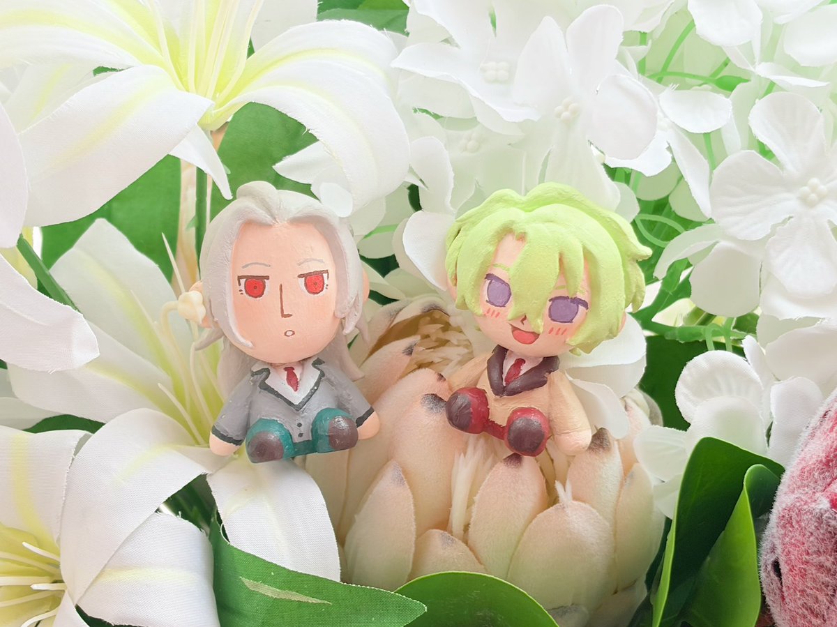 qshlooo's tweet photo. 🌷 https://t.co/ju0KsfDGkl