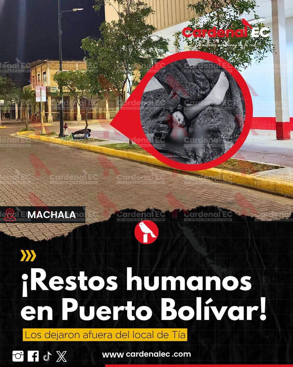 _ValerieOk's tweet photo. A mi me entran unas ganas de vomitar terribles al ver esto.

A esta persona la desmembraron, y no solo eso sino que la abrieron, le sacaron el corazón, le cortaron las orejas y lo pusieron junto a los brazos y piernas, se presume (aún no se puede confirmar) qué sea de la cabeza que dejaron dentro del. Tuti de #PuertoBolivar #Machala

¿Que clase de psicópatas tenemos en las calles? ¿Dónde está la policía y los militares? ¿Dónde está el trabajo de las cámaras del Ecu911?