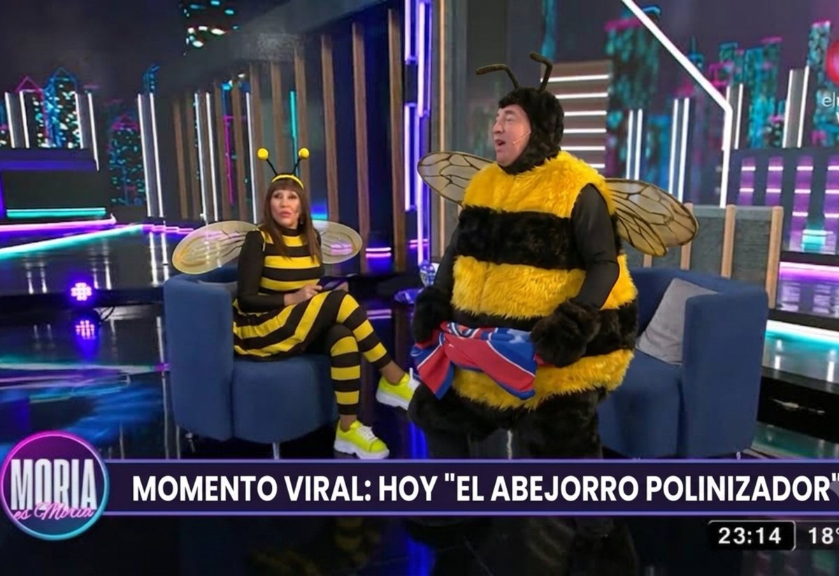 caini956's tweet photo. Porque bombus es un sentimiento

No se explica llevo nectar bien adentro

Por eso POLINIZO A DONDE SEAA
YO SOY ABEJA HASTA QUE ME MUERAA https://t.co/QraIoFEVru