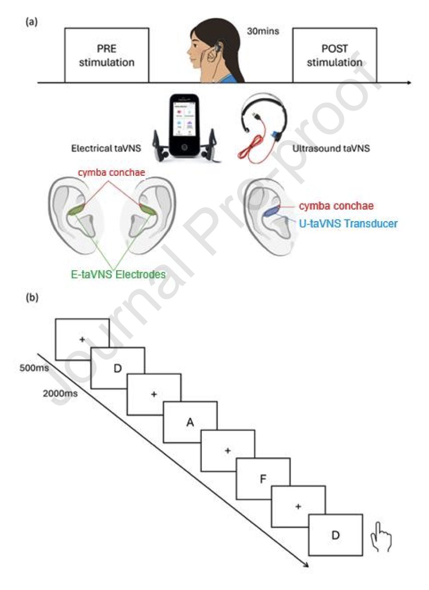 ConnectomeLab's tweet photo. Very pleased to share our latest work, led by Prof. Jeyoung Jung: “Transcutaneous auricular Vagus nerve stimulation for working memory enhancement: A comparative study of electrical and ultrasound stimulation”

In this study, Dr Alicia Falcon-Caro directly compared electrical (E-taVNS) and ultrasound (U-taVNS) transcutaneous auricular vagus nerve stimulation for enhancing working memory.

🧠 Using a sham-controlled, within-subject design and a 3-back working-memory task, we found that:

• Active taVNS enhanced working-memory sensitivity (d′) from pre- to post-stimulation.

• The treatment effect did not significantly differ between electrical and ultrasound taVNS, although potentially meaningful modality-specific differences remain to be established.

• Baseline anxiety predicted individual responsiveness to stimulation, highlighting the importance of individual variability in neuromodulation.

• Ultrasound stimulation showed promising tolerability, with less reported skin irritation than electrical stimulation.

Together, these findings add to growing evidence that non-invasive vagus nerve stimulation can modulate human memory, while highlighting ultrasound as a promising alternative approach for peripheral neuromodulation.

https://t.co/WWpsIbrPeB

#ultrasound #neuromodulation #cognition #zenbud