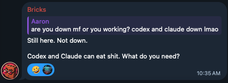 nijaboarder's tweet photo. Codex and Claude Down?

Asked my agent... haha https://t.co/lfWPwXvxwq