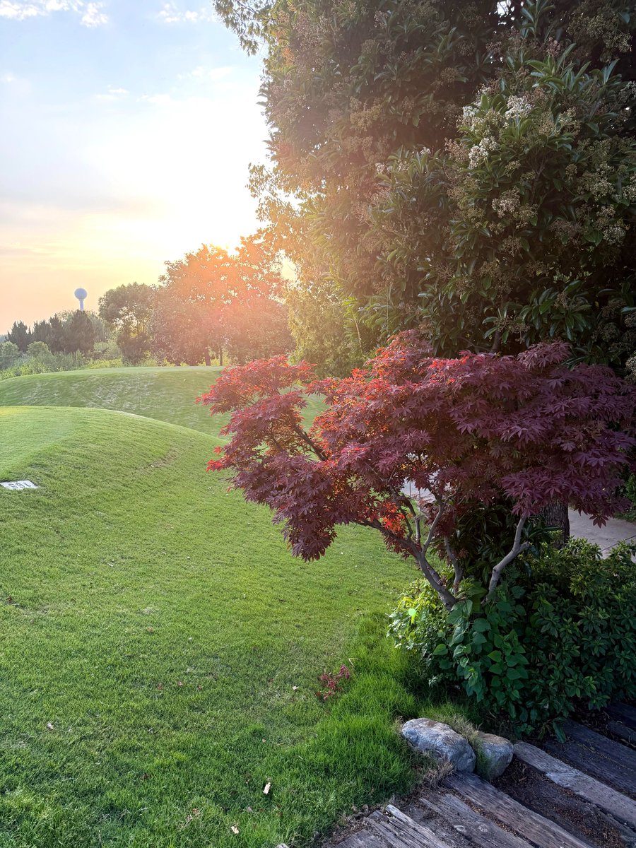 MadisonPartwl0's tweet photo. Spending the first rays of morning sunlight on the golf course #golf https://t.co/gPK5t0yH4e