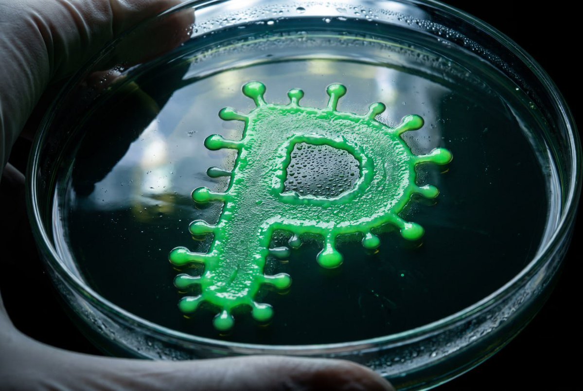 Pondemic_rh's tweet photo. Warning the $Pondemic virus is extremely contagious!

0x1abc4eb79e3f209ebde6b3c591f6322bffea1e77 https://t.co/AvhQyrVOQj