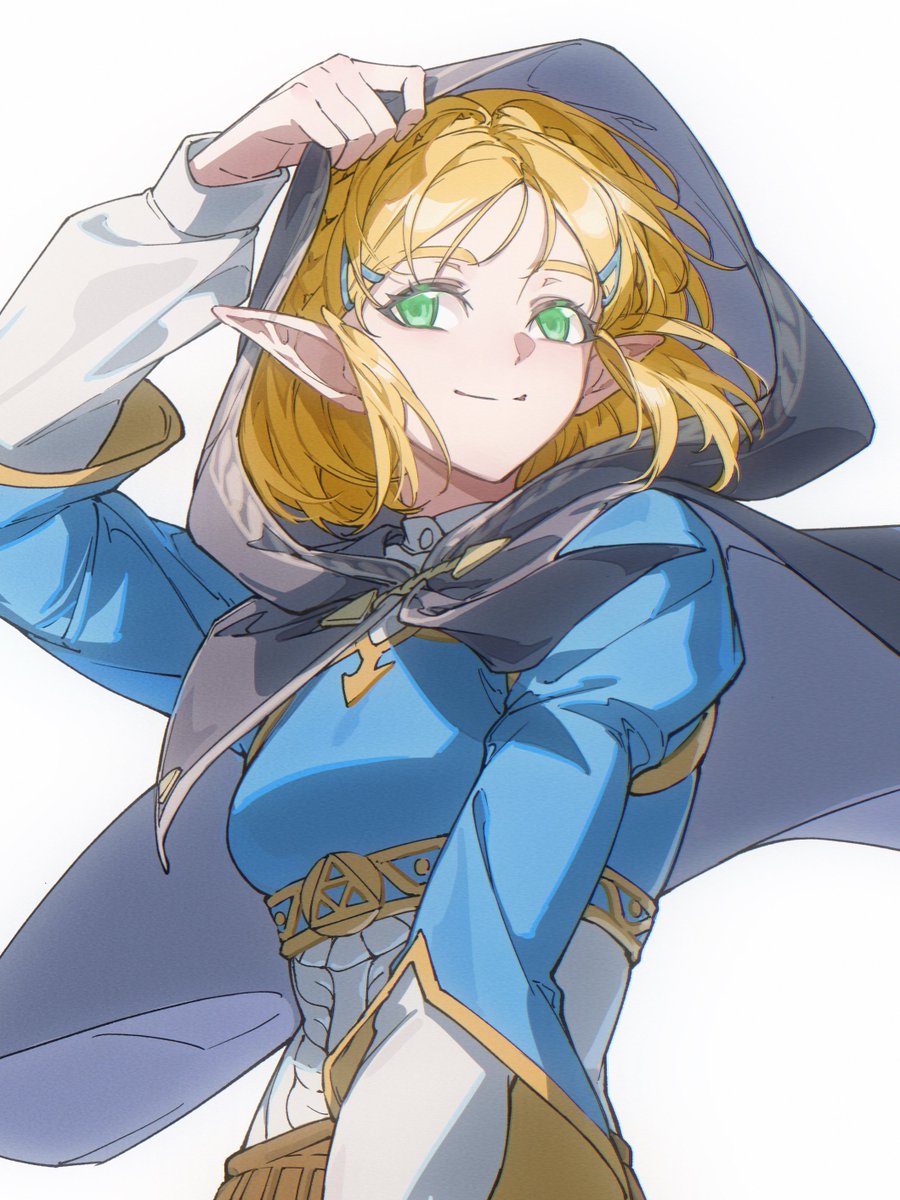 jingsang_W's tweet photo. #TearsOfTheKingdom #Zelink #リンゼル https://t.co/3hmrFODywp