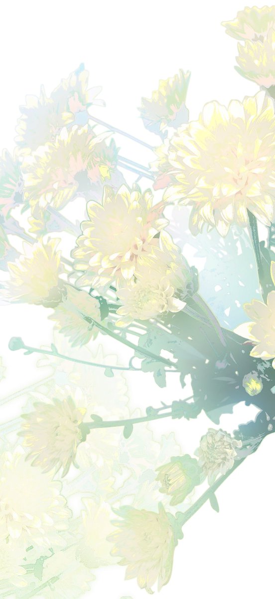 bottari_asset's tweet photo. 일러스트에 조화롭게 어울리는 꽃 4종 (기한 한정 무료) by kimkkyu_

포토배싱한 꽃 소재 https://t.co/YGa9gSQxzh