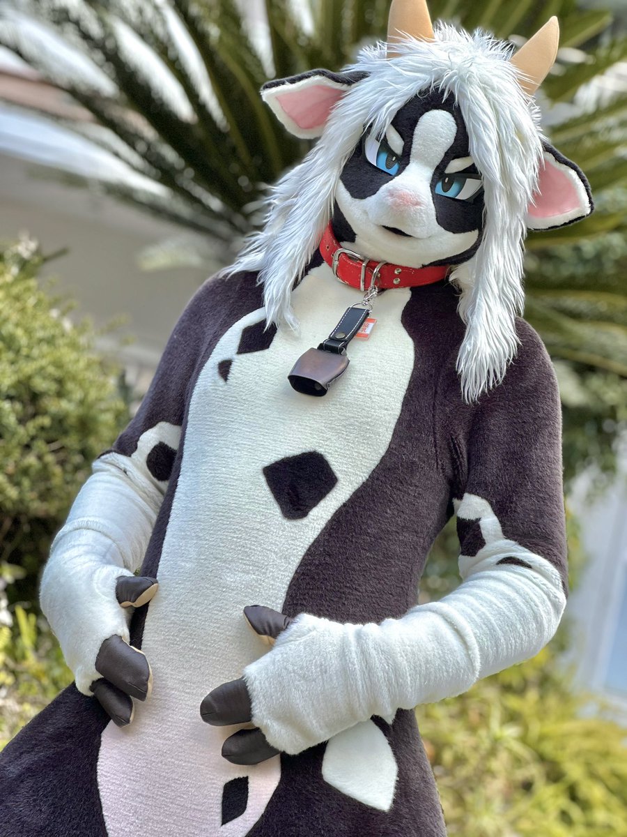 inusimahiro11's tweet photo. お腹空いたねぇー！！
#FursuitFriday https://t.co/ELLgGWeSmy