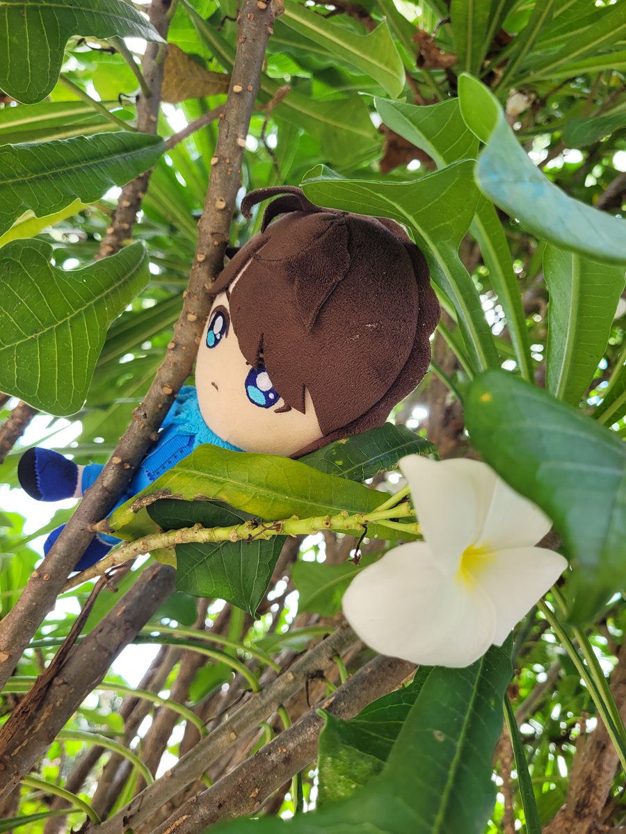 SirKamiWalker's tweet photo. Sonoi Chikito criou consciência de sua existência e agora ele está cuidando de plantas. https://t.co/FOsHqV1Djm