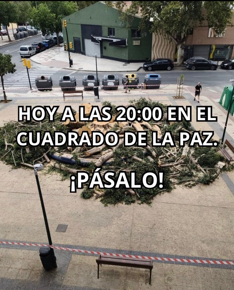 NachoRomera1's tweet photo. Los vecinos de la Paz en @malaga hacen una quedada para protestar 

Y hacen un llamamiento a defender los árboles de la ciudad 

Y denunciar la falta de mantenimiento y supervisión https://t.co/SET6QI18h2