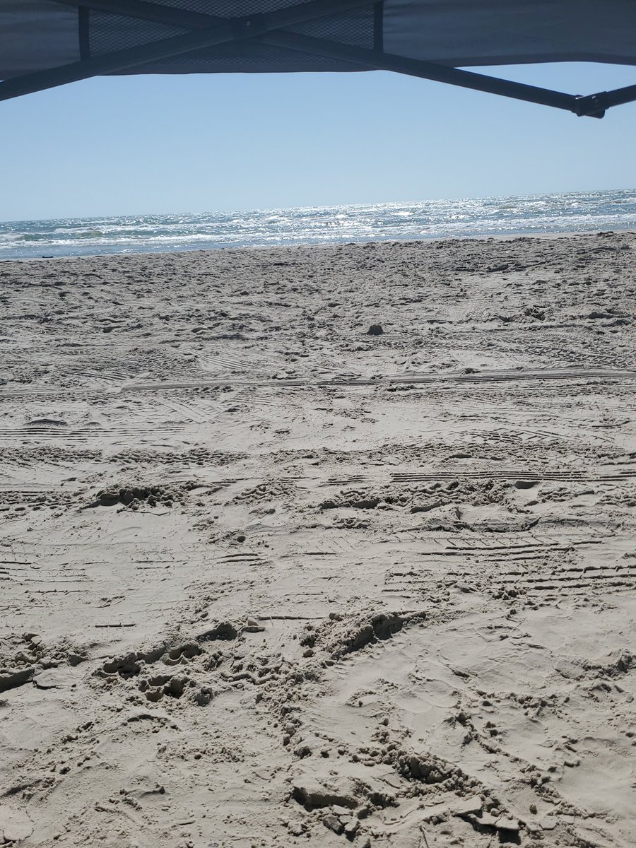 Gracefulaster's tweet photo. ⛱️ Beach Day 🌊 https://t.co/4YjMcOso9b