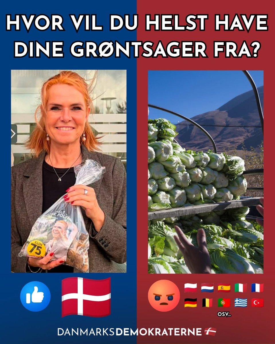 UKnudsen's tweet photo. Vi ved godt, hvad vi vælger🥔🌾💙🇩🇰

#dkpol https://t.co/snwugx8ZbX