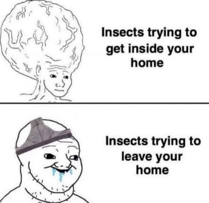 RealestMemes_'s tweet photo. https://t.co/Rby7m2MNU4