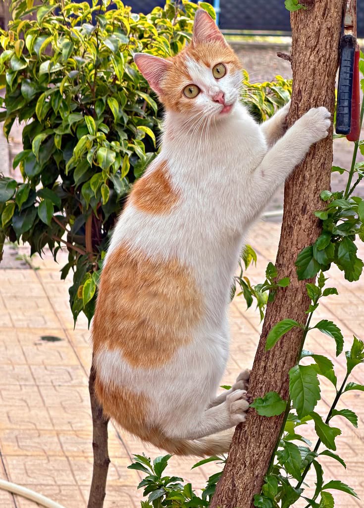 catdogsworld24's tweet photo. https://t.co/puAUNw0Vup