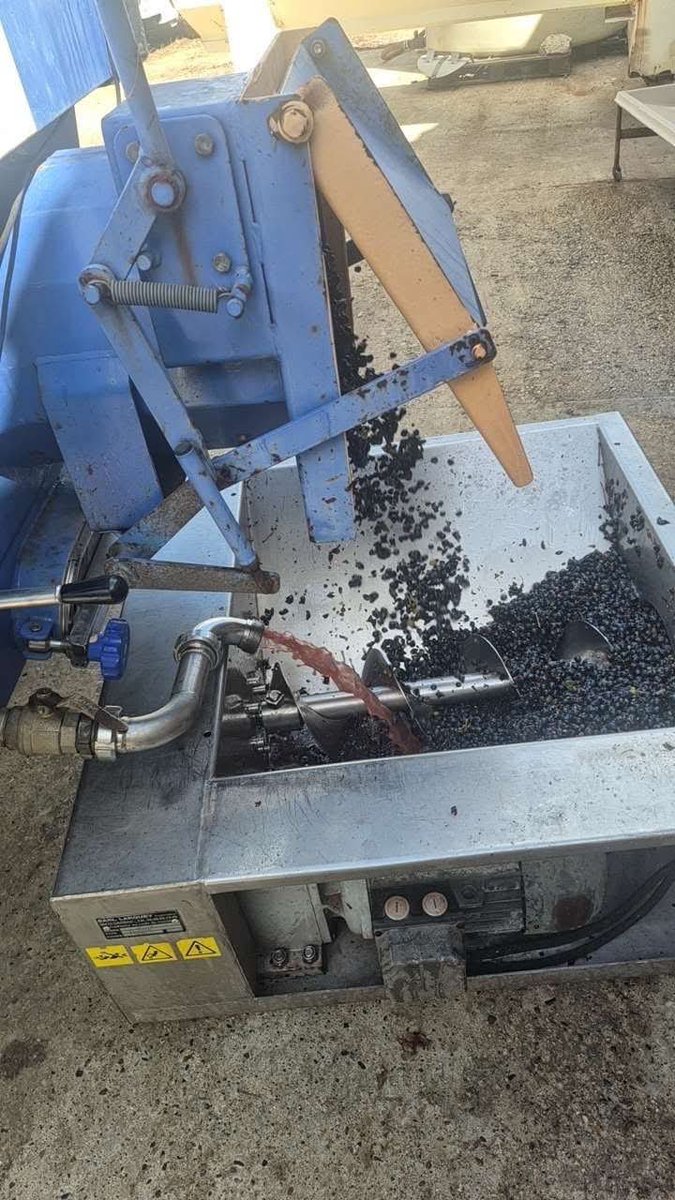 grandebougie's tweet photo. Et on continu encore et encore.
Dans la joie et la bonne humeur.
Une belle récolte.🍇
Millésime 2026.🍷
#SaintEmilion #Vendanges #Raisins #Vins https://t.co/h2znUDzkGg