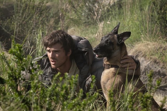 d_noch's tweet photo. #映画ラストサバイバー 

とんっっでもなく雰囲気がいい。

男と犬。セスナから見下ろす文明の残骸。在りし日の我が家。荒廃した世界で人間の醜さを描く作品は数あれど、人と人が心通わせる様をここまで情緒たっぷりに見せるポストアポカリプスものは稀有では。後半の展開も含めて今年上位のツボ映画。 https://t.co/WfptgvSBtY