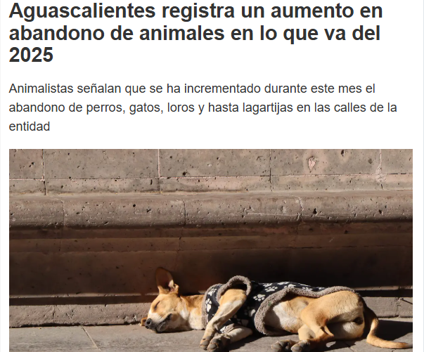 hidrocaIido's tweet photo. @LuisCardenasMx Mira Luisito no es por defender a esos culeros de la @SSPEags pero gracias a la ineptitud de la @proespaags y la hija de su puta madre de @TereJimenezE tenemos mas de 30mil perros ferales por todo Aguascalientes que son un peligro social, súmale la irresponsabilidad del dueño. https://t.co/KVfaHZU3Xw