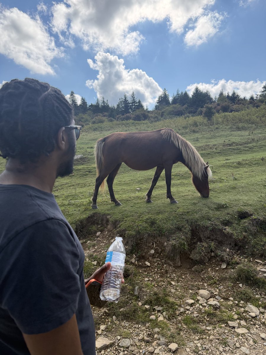 RinnKimmichi's tweet photo. I ain’t gone hold you twin, these mfs scary as hell! #horse #country #farm #hike #mlm #gay #chudai #men #nc #va https://t.co/04df2AwXXn