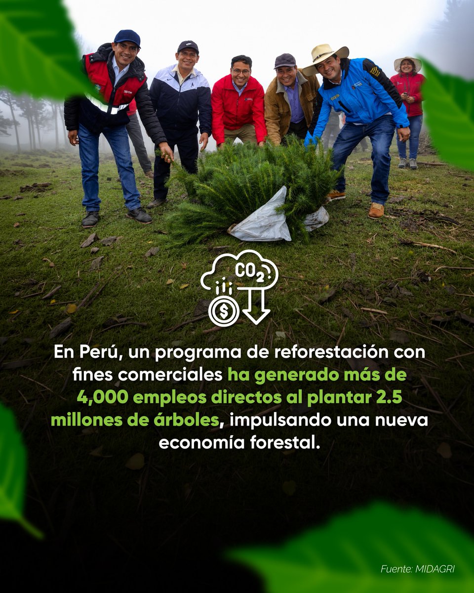Paskaybosques's tweet photo. 🌳 Reforestar es invertir en vida, agua y futuro. 🌱💧
Bosques restaurados significan biodiversidad, resiliencia, empleo y oportunidades para una economía sostenible. 🌎 https://t.co/elI6XeNqnF