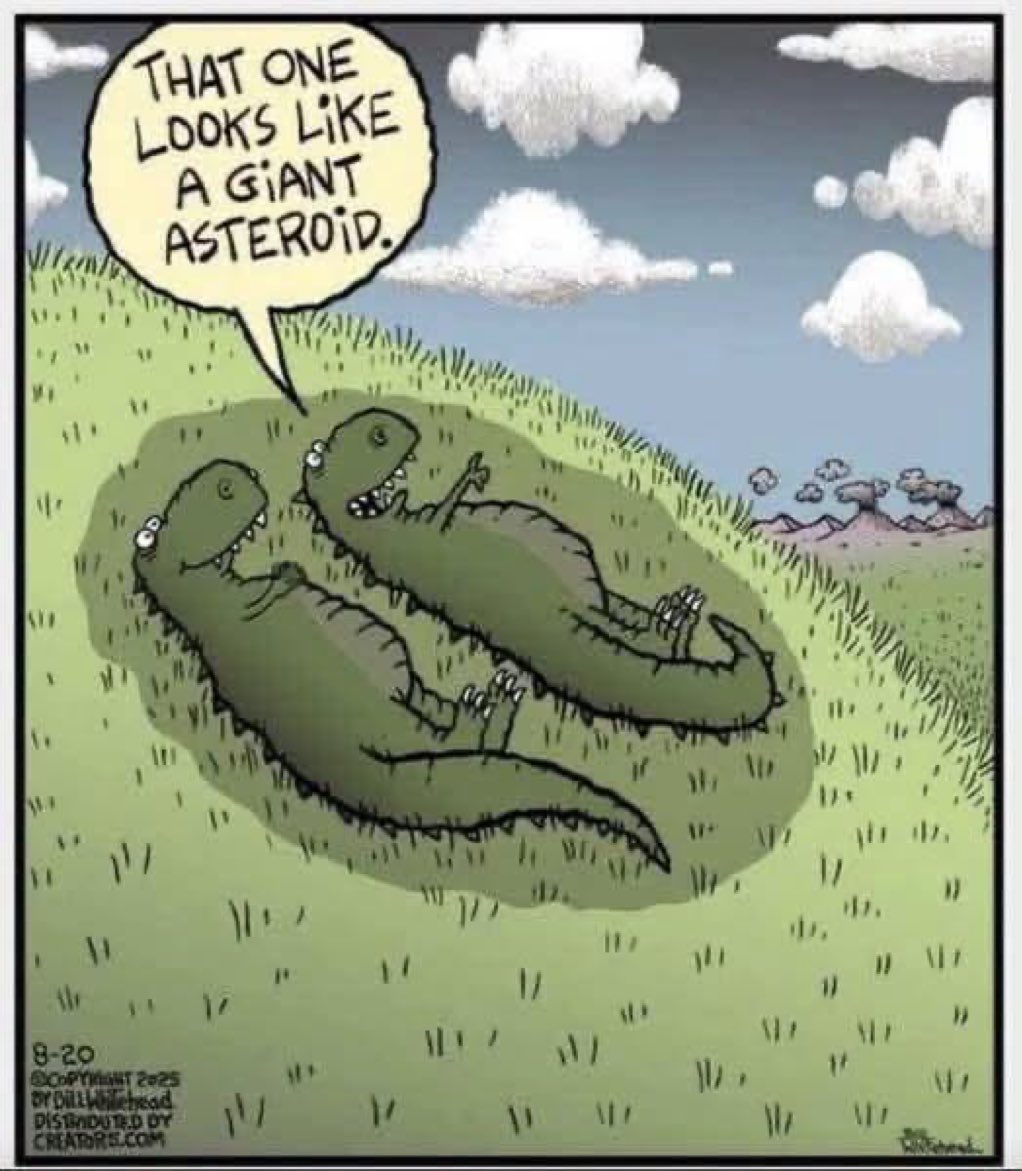 BerisfordRon's tweet photo. Sixty six million years ago today:🦖🦖 https://t.co/BiiJCItpxw