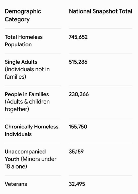 lemonwe_65's tweet photo. as long as there is one homeless veteran, or even one American sleeping on the street, I don't give a damn where they end up. AMERICA FIRST.. 

Homeless Population in the USA excluding the ILLEGAL immigrants. Approximate numbers, but Fix this before you ask another question about whether I give a shite about where ILLEGALS sleep at night.