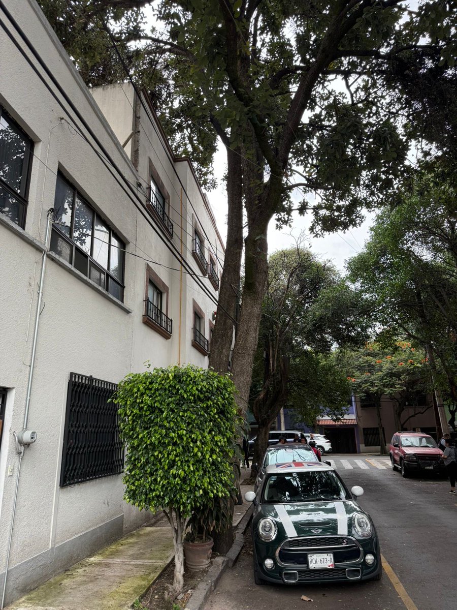 MaxtaGlez's tweet photo. Se solicita #GestionUrgente en la colonia @RomaSur1 @RomaSur06760 @RomaSurIIVecino poda de árbol en la calle Coatepec 5. Folio SUAC -2608274598180.  Este folio está reabierto ya que no han acudido @quetzal_cm @AlessandraRdlv @AlcCuauhtemocMx @pcacuauhtemoc https://t.co/E3aunH5iD4