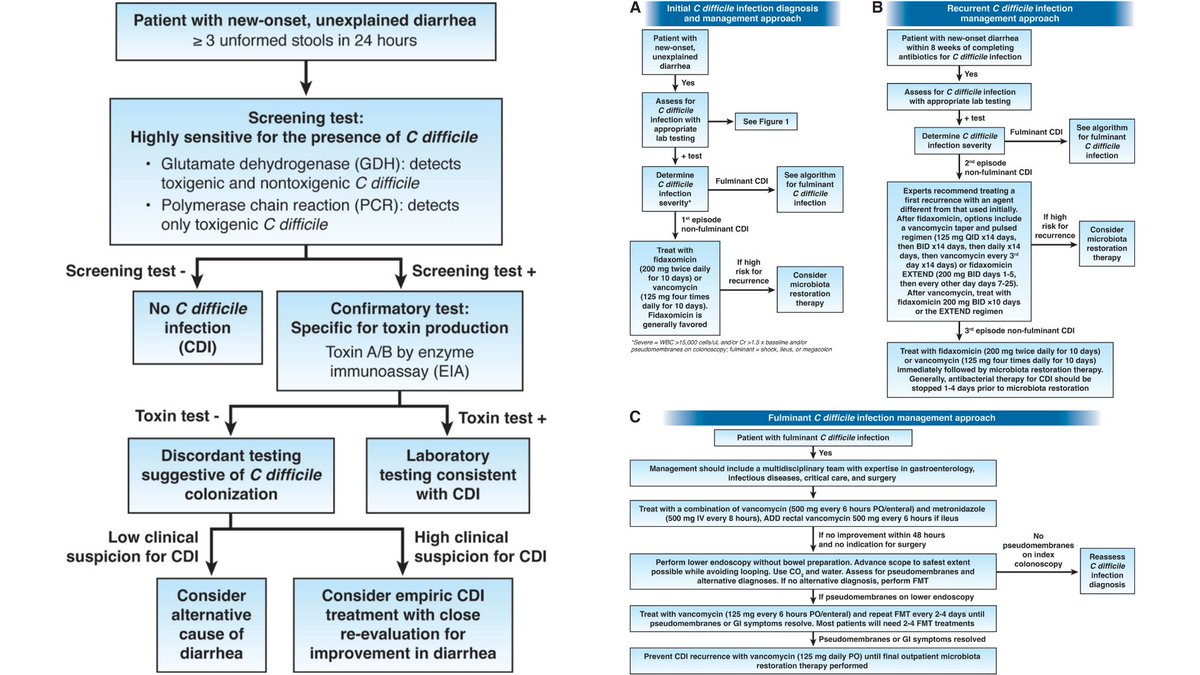 AmerGastroAssn's tweet photo. 🧵 Our new clinical practice update: 14 expert tips for managing #Cdiff infection in adults. 
The CPU provides updated best practices for clinicians caring for patients with CDI. 
Read more: https://t.co/jThRL9BAzU 
Join the webinar on 11/18: https://t.co/WFBmxWdqQN 
@AGA_CGH https://t.co/7X1t1uR0rZ