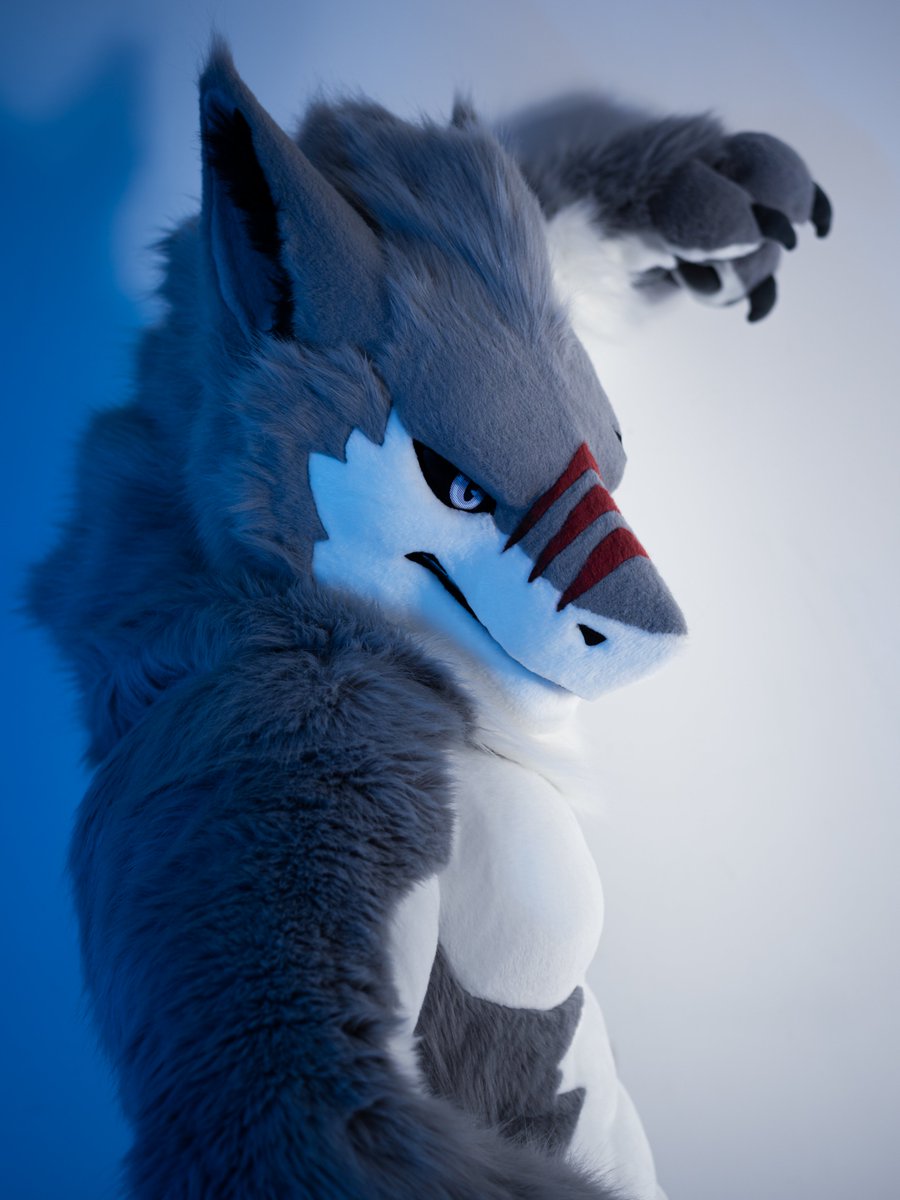 macro_sergal's tweet photo. 「ガオー！」 https://t.co/ByZArNuWEN