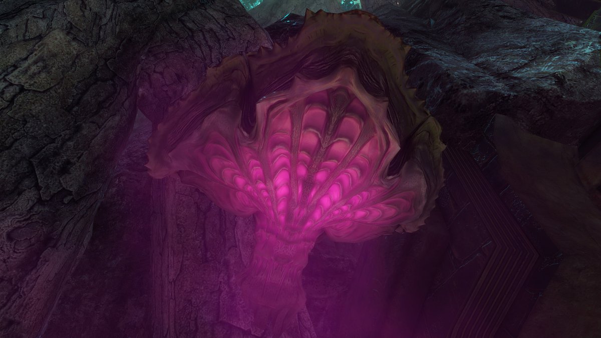 GuildWars2_DE's tweet photo. Schaut genau hin... 👀
Diese geheimnisvollen Schnappschüsse stammen aus der kommenden Karte. Was erkennst ihr da und welche Theorien habt ihr dazu? Teilt eure Vermutungen mit uns, noch bevor alles enthüllt wird. https://t.co/sAB54r4jp7