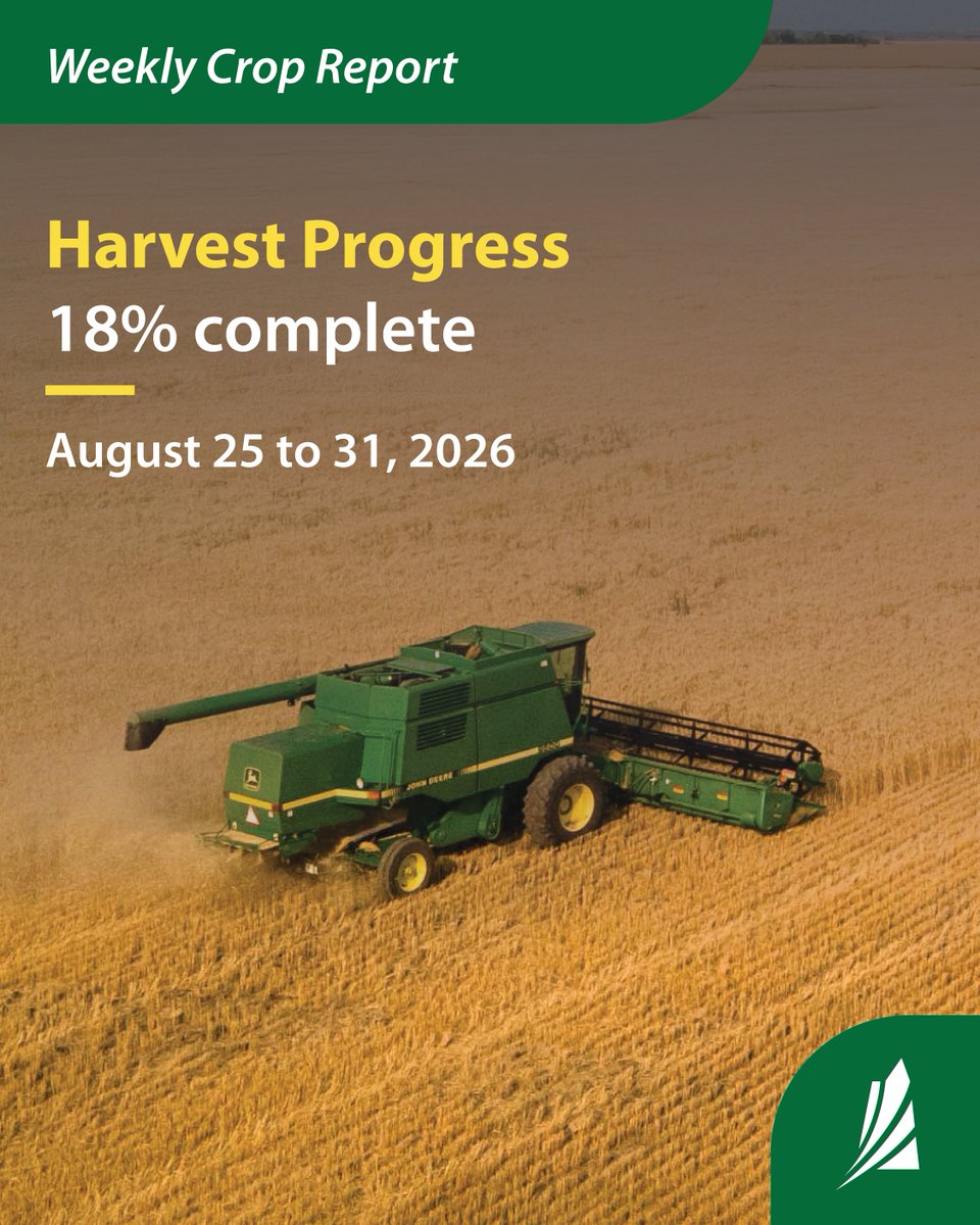 SKAgriculture's tweet photo. Saskatchewan producers made harvest progress despite rainfall received in many regions later in the week. Harvest is now 18% complete, up 7% from last week. #SaskAg #CropReport
Click here for the complete Crop Report: https://t.co/jhtAXtMG61 https://t.co/f5oBdSSSpC