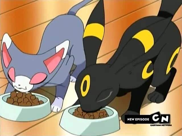 Acervoumbreon's tweet photo. Bora almoçar, pq nois não é de ferro https://t.co/jDHf78VqNa