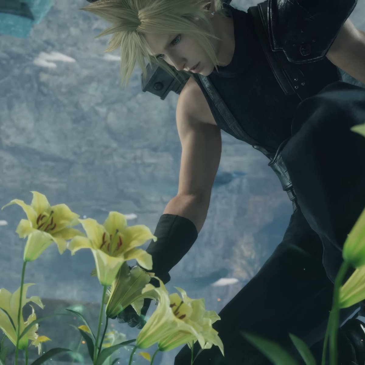 cleritharchive's tweet photo. Follow them. The yellow flowers. https://t.co/jsHgATWlgg