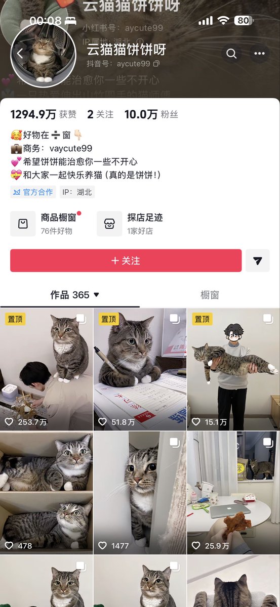 siju_bi's tweet photo. @TZtZd4VV0Xuea9P @animal_kyawa_ 是中国抖音上的这只猫猫ao https://t.co/T3bgrlcDkQ