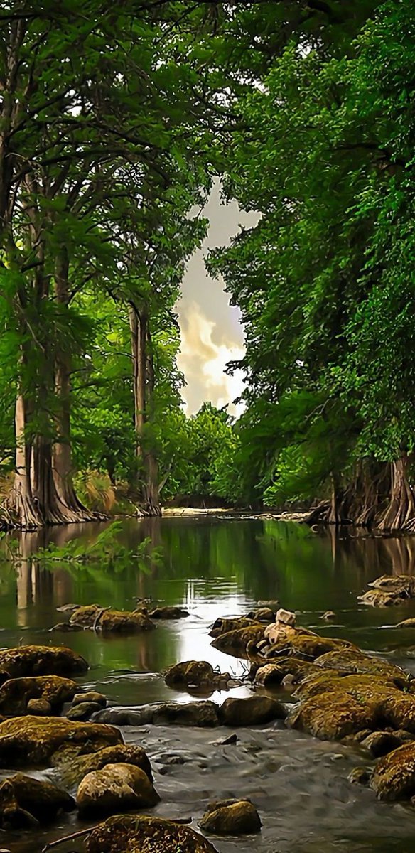 Shashan54117178's tweet photo. The beauty of nature is a reminder to slow down and live. 🌿 https://t.co/l5HvJb2BSK