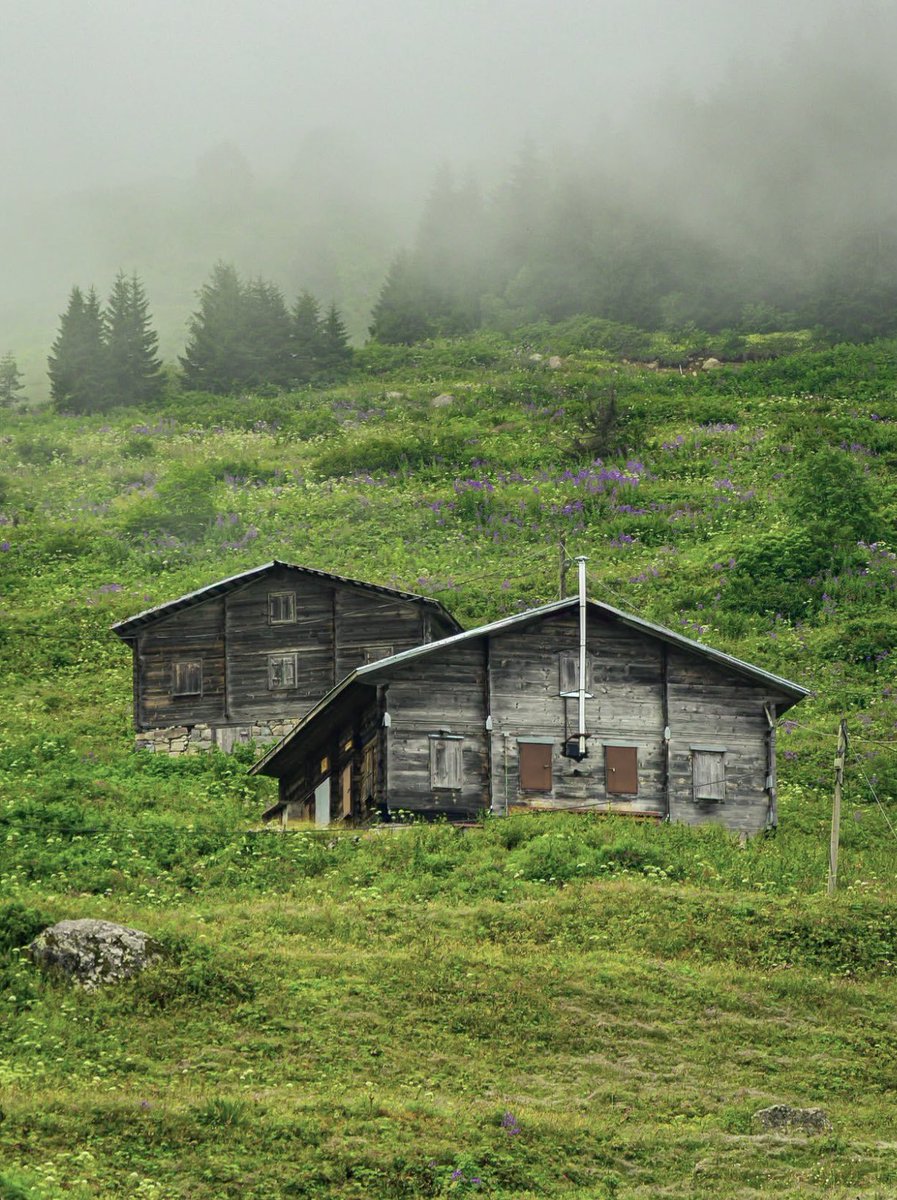 Ebrarrk61's tweet photo. Yayla yayla gezmekten hiç sıkılmayacağım ‘💚🌱
#elevityaylası https://t.co/6uW68RUj1w