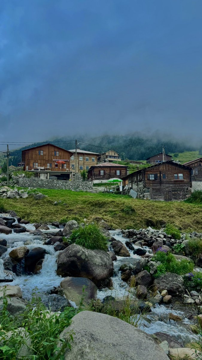 Ebrarrk61's tweet photo. Yayla yayla gezmekten hiç sıkılmayacağım ‘💚🌱
#elevityaylası https://t.co/6uW68RUj1w