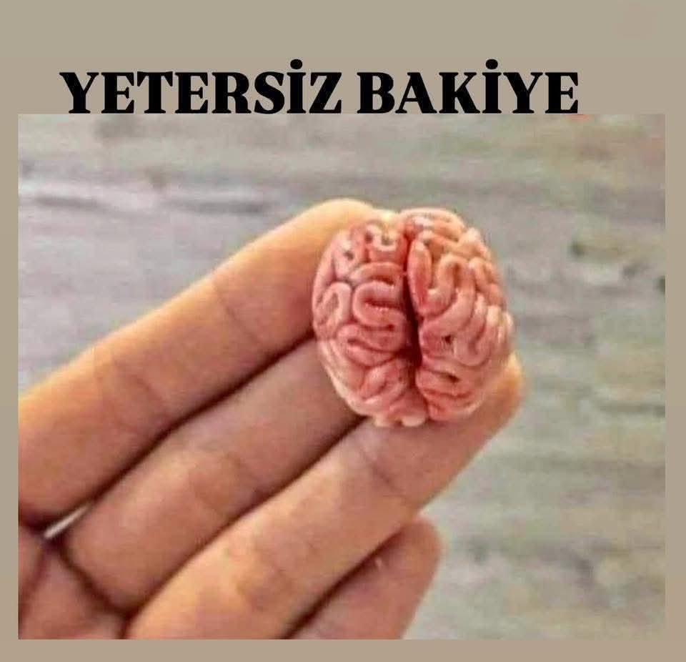 Mustafaar1972's tweet photo. @_sahra_mine https://t.co/2u5LJ9mqbj