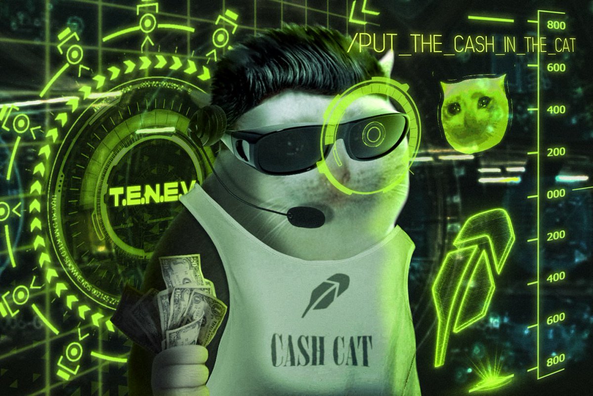 cashcat_token tweet picture