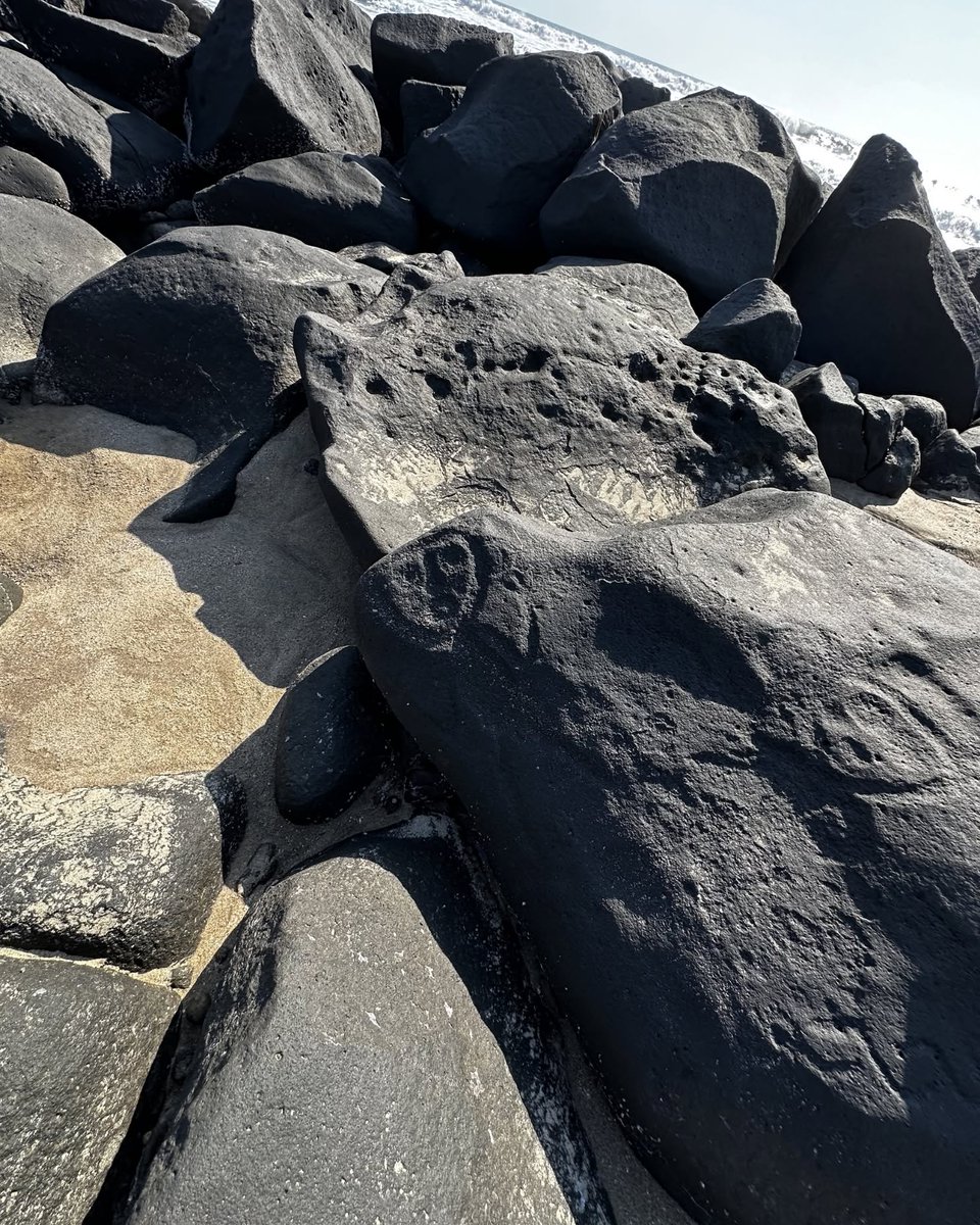 LasLabradas's tweet photo. ¡Planea tu visita a la Zona Arqueológica Las Labradas! 🪨✨

🗓️ Lunes a domingo | 8:00 a 17:00 h 
🎟️ Nacionales: $105 MXN (Domingos gratis) | Extranjeros: $210 MXN 
♿ Entrada libre diaria (con credencial) a +60, niños -13, estudiantes y docentes. https://t.co/tvcuiOiII8