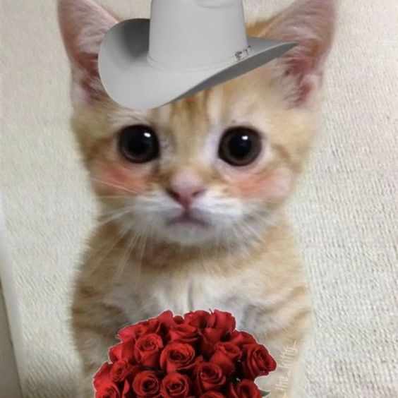 fiowofi's tweet photo. @pinkbo76 thank u cutie ( ´ ∀ `)ノ～ ♡ https://t.co/rghr31XiNG