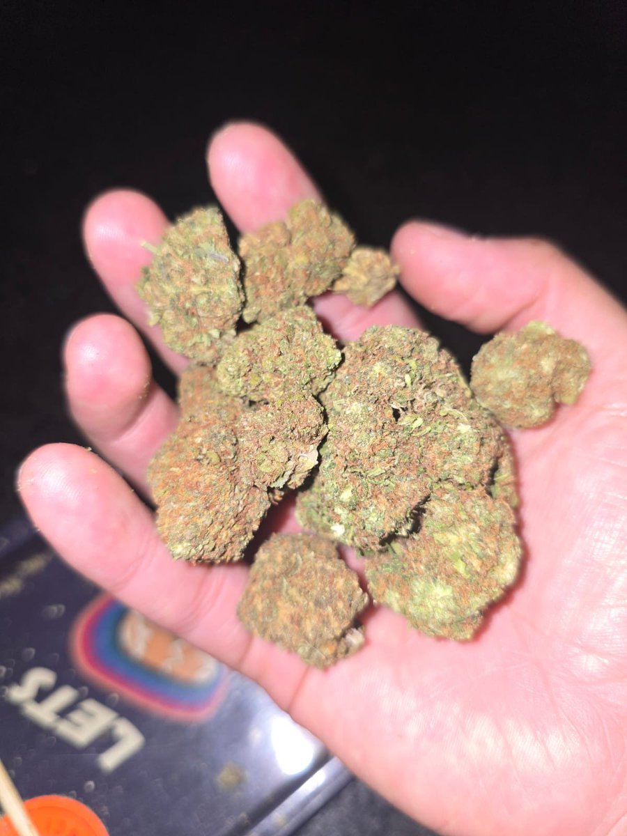 JeffreyBor11672's tweet photo. Iโm mobile rn
Mobile with it all day
#weedtwt #drugtwt #shroomtwt
Who need some weed,wax,cart,vape and other stuff #dmvfreaks #dmvweed #dmvtops #dcfreaks
HMU ๐ค https://t.co/X1vcnDtB75