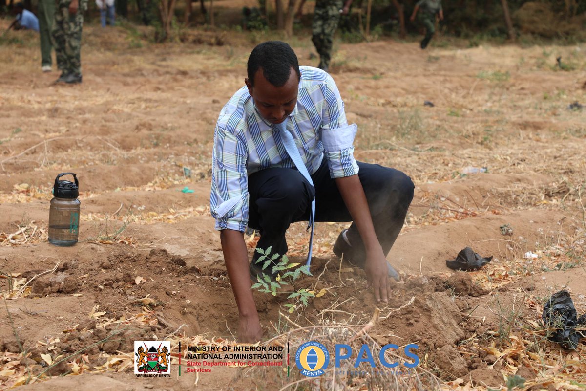 ProbationKE's tweet photo. Later on, the Acting Secretary and probation staff joined the Principal Secretary in planting over 600 trees at Garissa GK Prison. https://t.co/bjdlAG5l9C