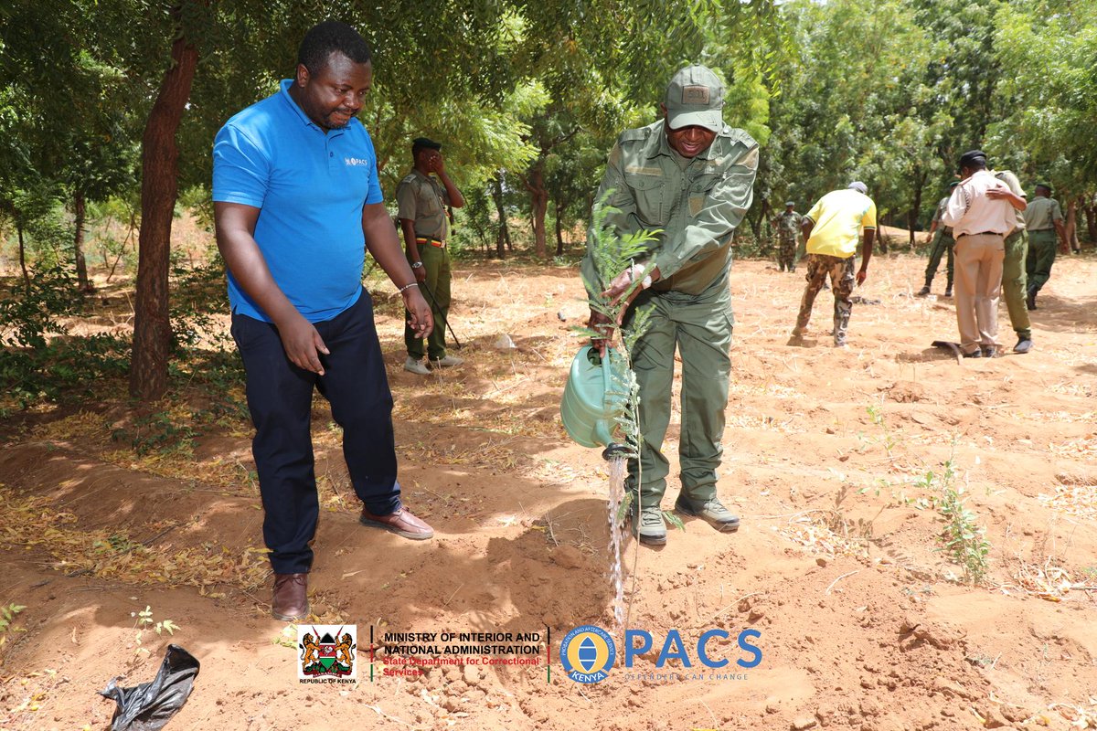 ProbationKE's tweet photo. Later on, the Acting Secretary and probation staff joined the Principal Secretary in planting over 600 trees at Garissa GK Prison. https://t.co/bjdlAG5l9C