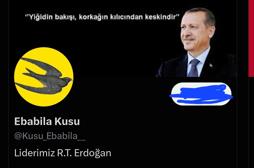 FerruhIsmail's tweet photo. @Kusu_Ebabila__ @Kusu_Ebabila___ Beyni ortadoğu bedevi masalıyla,#yıkanmış/#ebabilkuşu,. https://t.co/pikPK9CsEW
