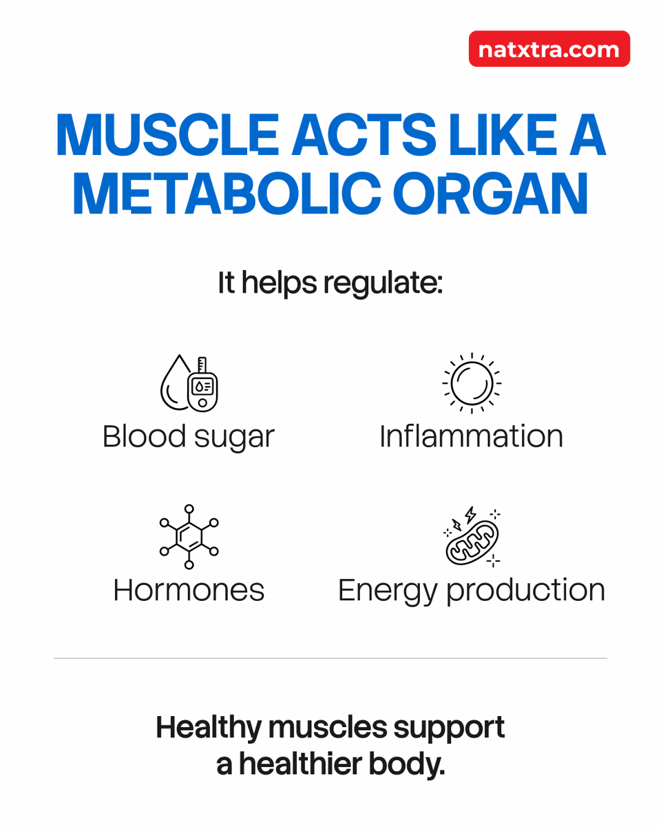 NatxtraSynthite's tweet photo. Give your muscles the support they need to recover, adapt, and keep showing up for you. Shop NatXtra Magnesium Glycinate at https://t.co/dOaJ2AeClo

[Muscle Health, Muscle Loss, Muscle Recovery, Metabolic Health, Strength Training, Magnesium Glycinate, NatXtra, Synthite] https://t.co/e95qCyRWme