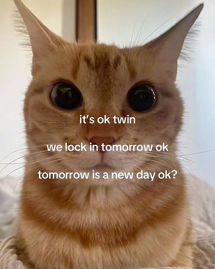 ADHDForReal's tweet photo. https://t.co/EXU2mTOfvQ