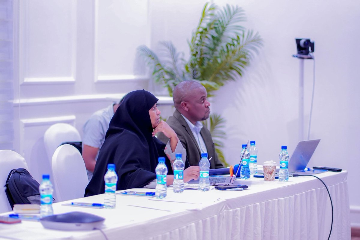 SERP_Somalia tweet picture