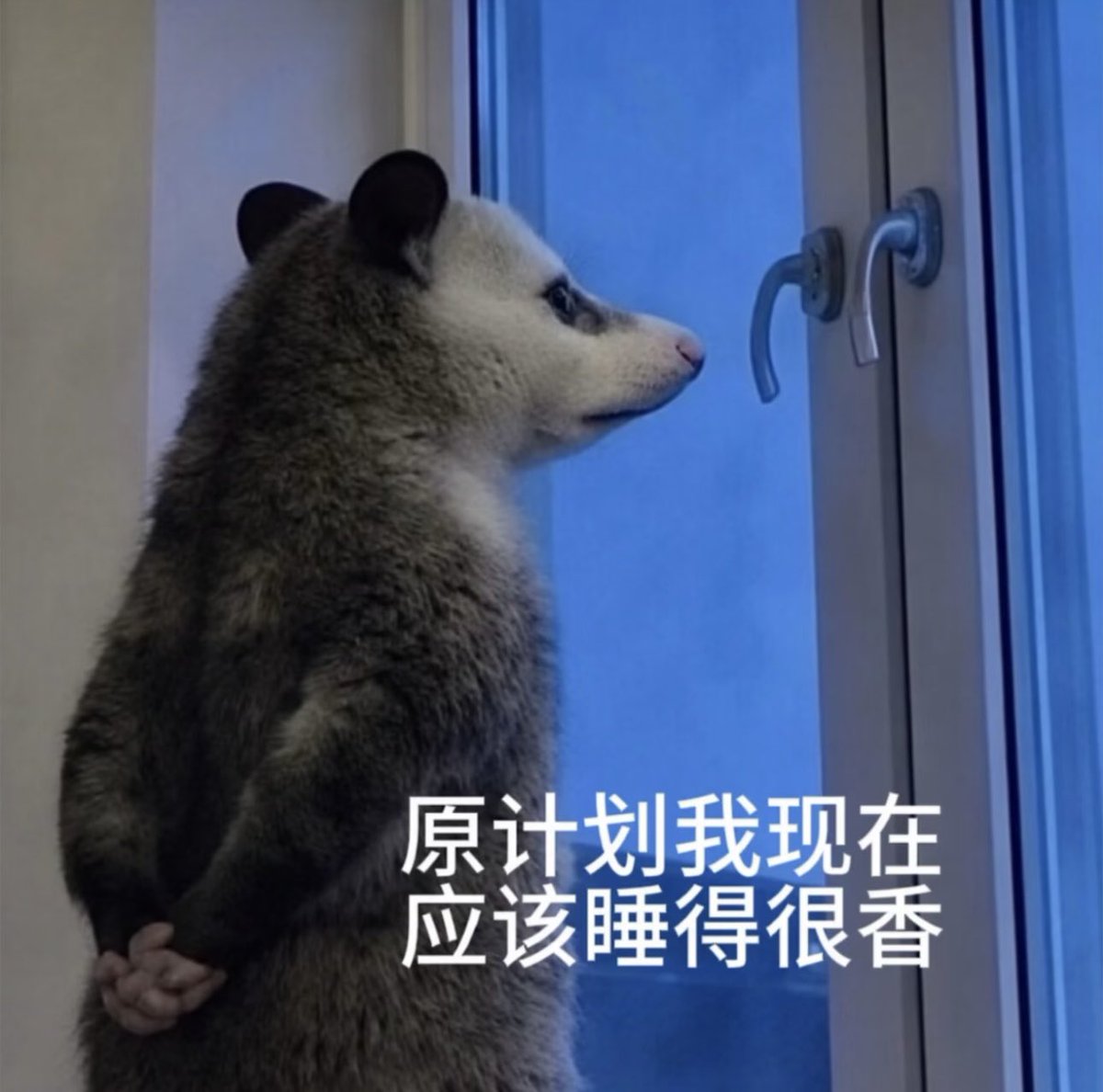 566svera's tweet photo. 人总是得不到自己喜欢的东西
我���欢睡觉，所以这会儿我睡不着了🫠

#蓝V互关 #失眠 https://t.co/RC1bPHoirr