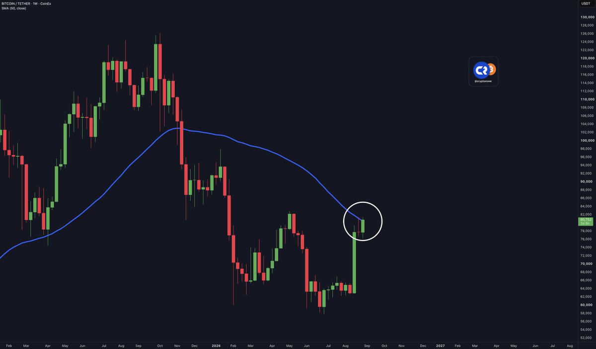 cryptorover's tweet photo. Once Bitcoin breaks the 50W ma. 

THE bitcoin:native BULL MARKET HAS OFFICIALLY STARTED!

If this happens, $100,000 will come much sooner than most people expect. https://t.co/RrpYqFQQW1
