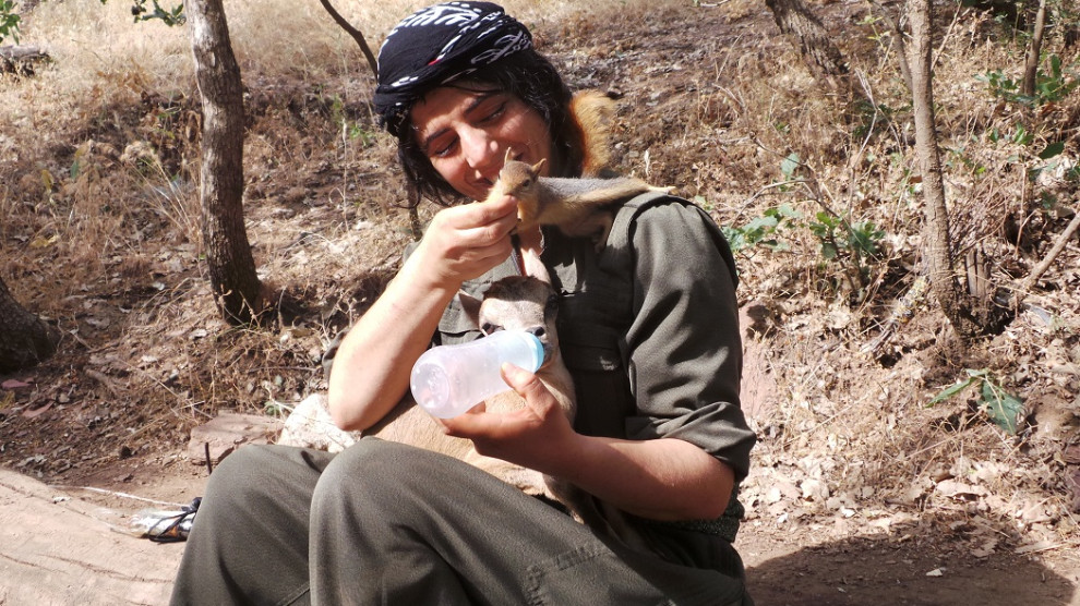 heyveron___'s tweet photo. Kendisini bir Ana gibi hissetmeyen hiç bir insan, insanlığın kurtuluşunda kendini bir davaya adayacak ruhun, yüreğin ve fedakârlığın sahibi olamaz. Bütün devrimciler biraz anacıldır. Ve bütün Analar devrimci.. https://t.co/h1FqUbPIPo
